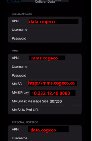 APN_Apple_2.png